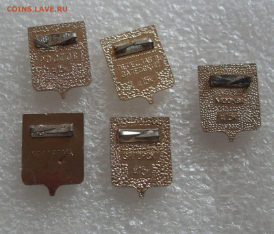 шт (1) - SDC17885.JPG