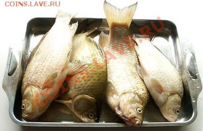 Берем штучки четыре - пять карасей, потрошим, удаляем жабры, НО НЕ ЧИСТИМ от чешуи. Закидываем их в кастрюлю, туда-же судачиные обрезки (удалив жабры из головы). Ставим на огонь, доводим до кипения и варим примерно минут 40 на самом слабом огне. - Карась