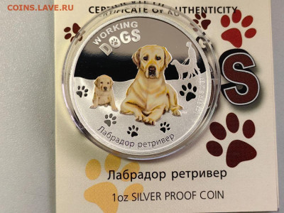 1дол 2011 Тувалу - Лабрадор Ретривер, Ag999, до 21.05 - ЯЯ Собаки Лабрадор-2