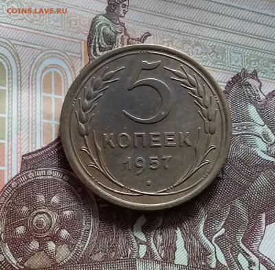 5 копеек 1957. До 20.05.24 в 22.00 - 20240515_144544