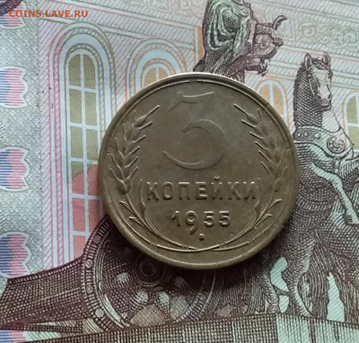 3 копейки 1955. До 20.05.24 в 22.00 - 20240515_154401