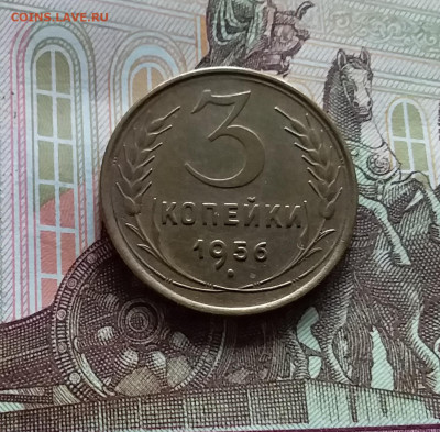 3 копейки 1956. До 20.05.24 в 22.00 - 20240515_154616