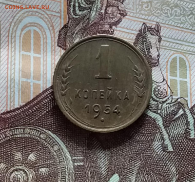 1 копейка 1954. До 20.05.24 в 22.00 - 20240515_190828