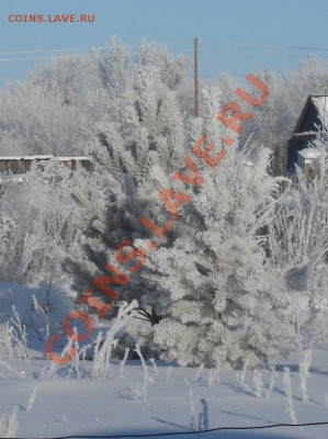 Человек - царь природы. - 03