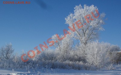Человек - царь природы. - 02