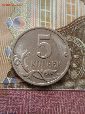 5к.1997с-п - шт.2.3 из оборота. - photo_2024-05-04_11-56-19
