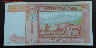 Монголия 5 тугриков 2014 года до 19.05.2024 - IMG_20240430_030001