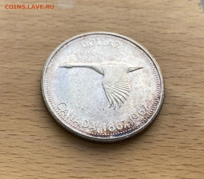 Канада 1 доллар 1967 100 лет Конфедерации Канады - kanada_1_dollar_1967_100_let_konfederacii_kanada_gus_ptica_fauna_pruf_proof_serebro (4)