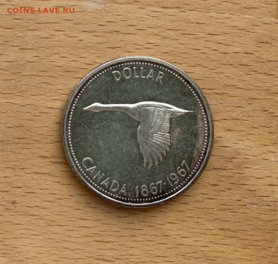 Канада 1 доллар 1967 100 лет Конфедерации Канады - kanada_1_dollar_1967_100_let_konfederacii_kanada_gus_ptica_fauna_pruf_proof_serebro (2)