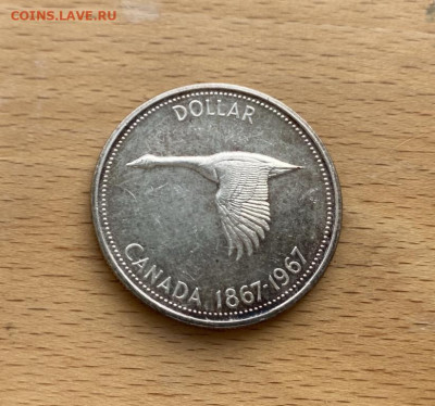 Канада 1 доллар 1967 100 лет Конфедерации Канады - kanada_1_dollar_1967_100_let_konfederacii_kanada_gus_ptica_fauna_pruf_proof_serebro