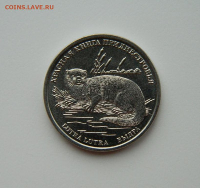 Приднестровье 1 рубль 2018 г. (Выдра) до 27.05.24 - DSCN3182.JPG