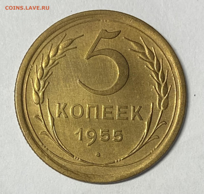 5 копеек 1955. До 23.05.24 в 22.00 мск - IMG_6851