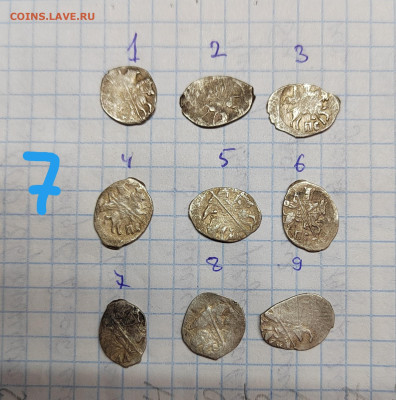 Чешуя на определение - IMG_20240522_151814_edit_249631988589145