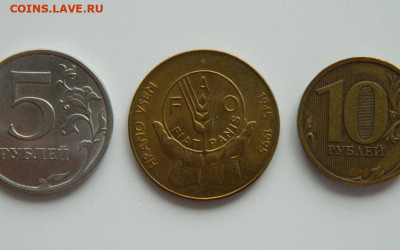 Словения 5 толаров 1995 г. (Юбилейная) ФАО до 27.05.24 - DSCN0494.JPG