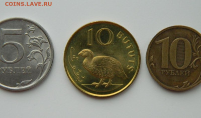 Гамбия 10 бутут 1998 г. (Фауна) до 27.05.24 - DSCN3849.JPG