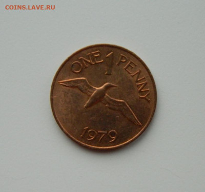 Гернси 1 пенни 1979 г. (Фауна) до 27.05.24 - DSCN3867.JPG