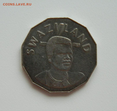 Свазиленд 50 центов 1996 г. (Фауна) Крупная! до 29.05.24 - DSCN0814.JPG