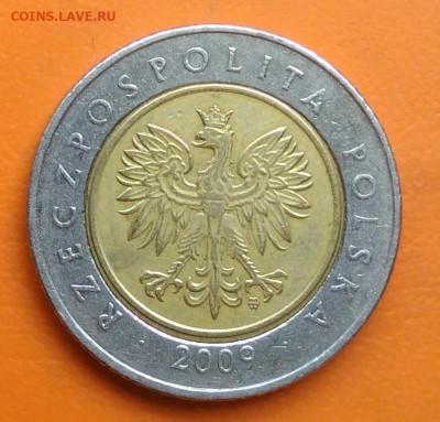 Польша 5 злотых 2009 года до 26.05.2024 - IMG_20240521_141148