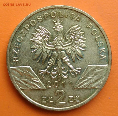 Польша 2 злотых 2011 года барсук до 26.05.2024 - IMG_20240521_141457