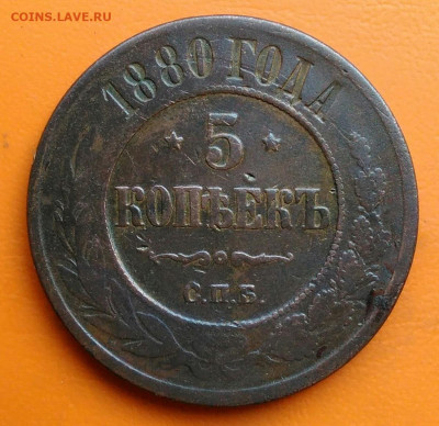 5 копеек 1880 года до 26.05.2024 - IMG_20240522_185049