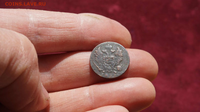 Деньга 1810 г. ИМ- МК. не частая. - DSC06761.JPG