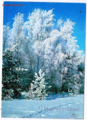 С Новым годом! 1989 г. до 30.05.24 г. в 23.00 - 049