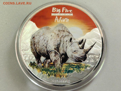 240фр 2008 Конго. Большая африканская 5-ка. Носорог, Ag999 - ЯЯ Большая 5-ка Носорог-1