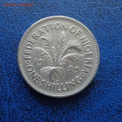 Нигерия 1 шиллинг 1959 до 29.05 - DSC01391.JPG