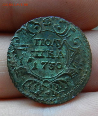 Полушка 1730 (Острая ). Окончание 29.05.2024 в 22.00 по Мск - 1