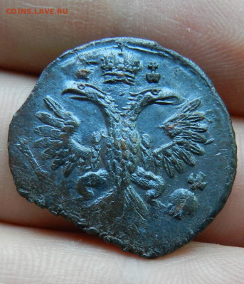 Деньга 1735 (  Брак  ). Окончание 29.05.2024 в 22.00 по Мск - 24