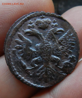 Денга 1734 (Острая). Окончание 29.05.2024 в 22.00 по Мск - 27