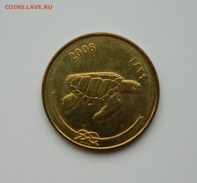 Мальдивские острова 50 лари 2008 г. (Фауна) до 30.05.24 - DSCN2656.JPG