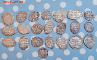 22 чешуйки(опознание) - 20240528_170402