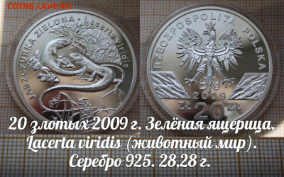 Польша 20 злотых 2009 Зелёная Ящерица. До 30.05. в 22:00 - Ящерица