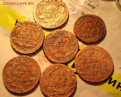 деньга 1731-1757  11штук - P1010042.JPG