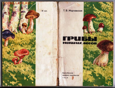 Т.В. Марчевская ГРИБЫ ... 1968 г. до 07.06.24 г. в 23.00 - 042