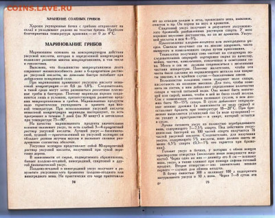 Т.В. Марчевская ГРИБЫ ... 1968 г. до 07.06.24 г. в 23.00 - 047