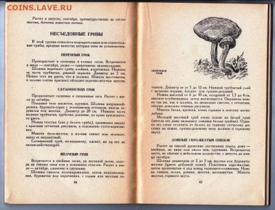 Т.В. Марчевская ГРИБЫ ... 1968 г. до 07.06.24 г. в 23.00 - 048