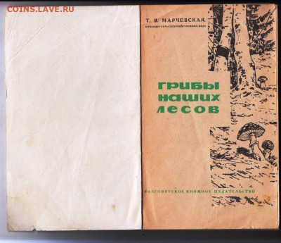 Т.В. Марчевская ГРИБЫ ... 1968 г. до 07.06.24 г. в 23.00 - 051