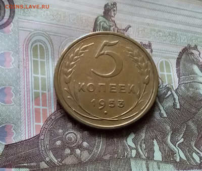 5 копеек 1953. До 06.06.24 в 22.00 - 20240601_161103