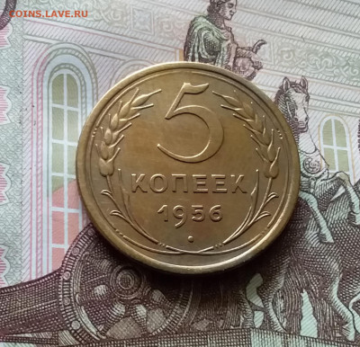 5 копеек 1956. До 06.06.24 в 22.00 - 20240601_161729