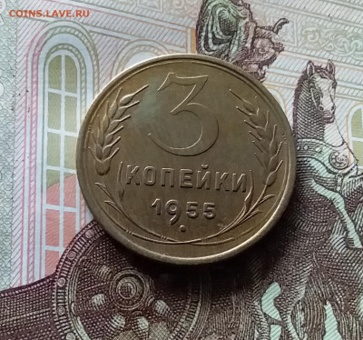 3 копейки 1955. До 06.06.24 в 22.00 - 20240601_163930