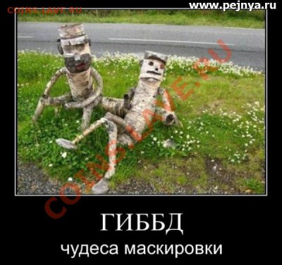 юмор - gibdd
