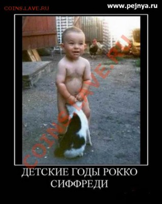 юмор - rocco