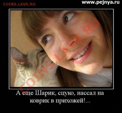 юмор - sharik