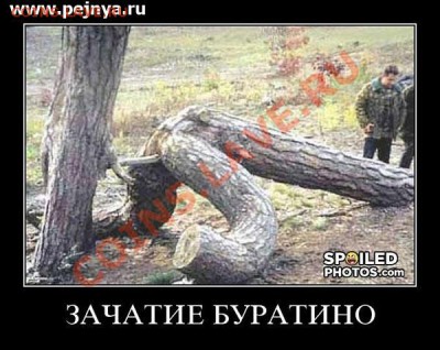 юмор - buratino