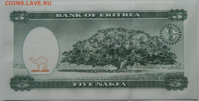 Эритрея 5 накфа 1997 г. до 06.06.24 - DSCN8467.JPG