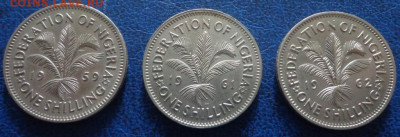 Нигерия 1 шиллинг 1959, 1961, 1962 ФИКС до 05.06 - DSC01423.JPG