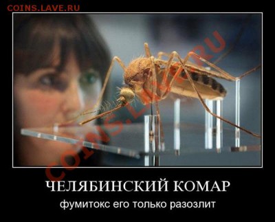 юмор - komar