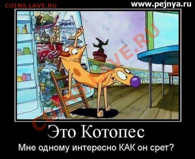 юмор - kotopes